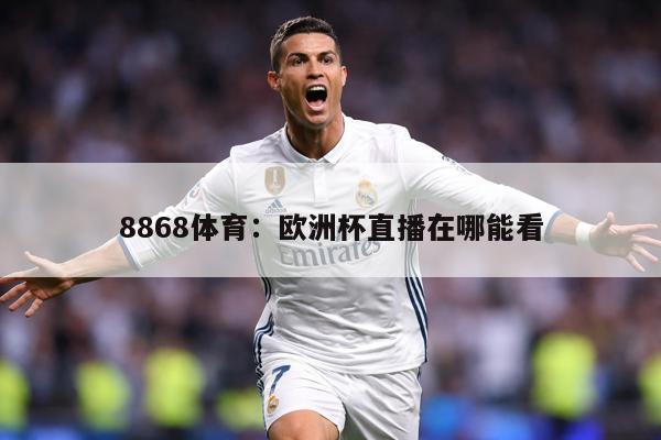 8868体育：欧洲杯直播在哪能看